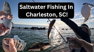 Saltwater Fishing in Charleston, SC (Some Unexpected Catches)