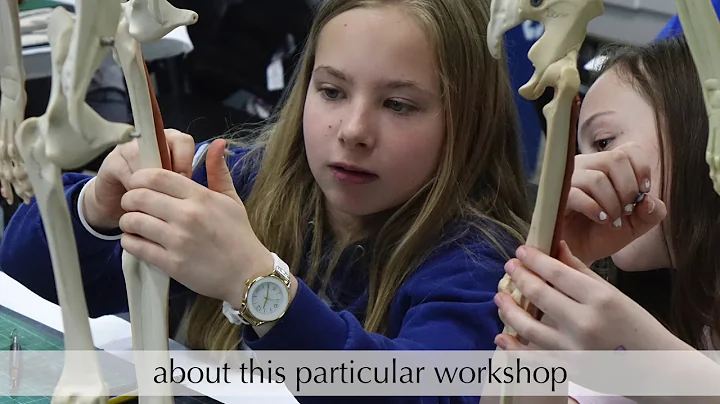 ANATOMY IN CLAY Centers In Action: Lisa Iverson