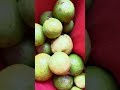 #konkanpremi ,#kokan ,#nature ,#likeandsubscribe
