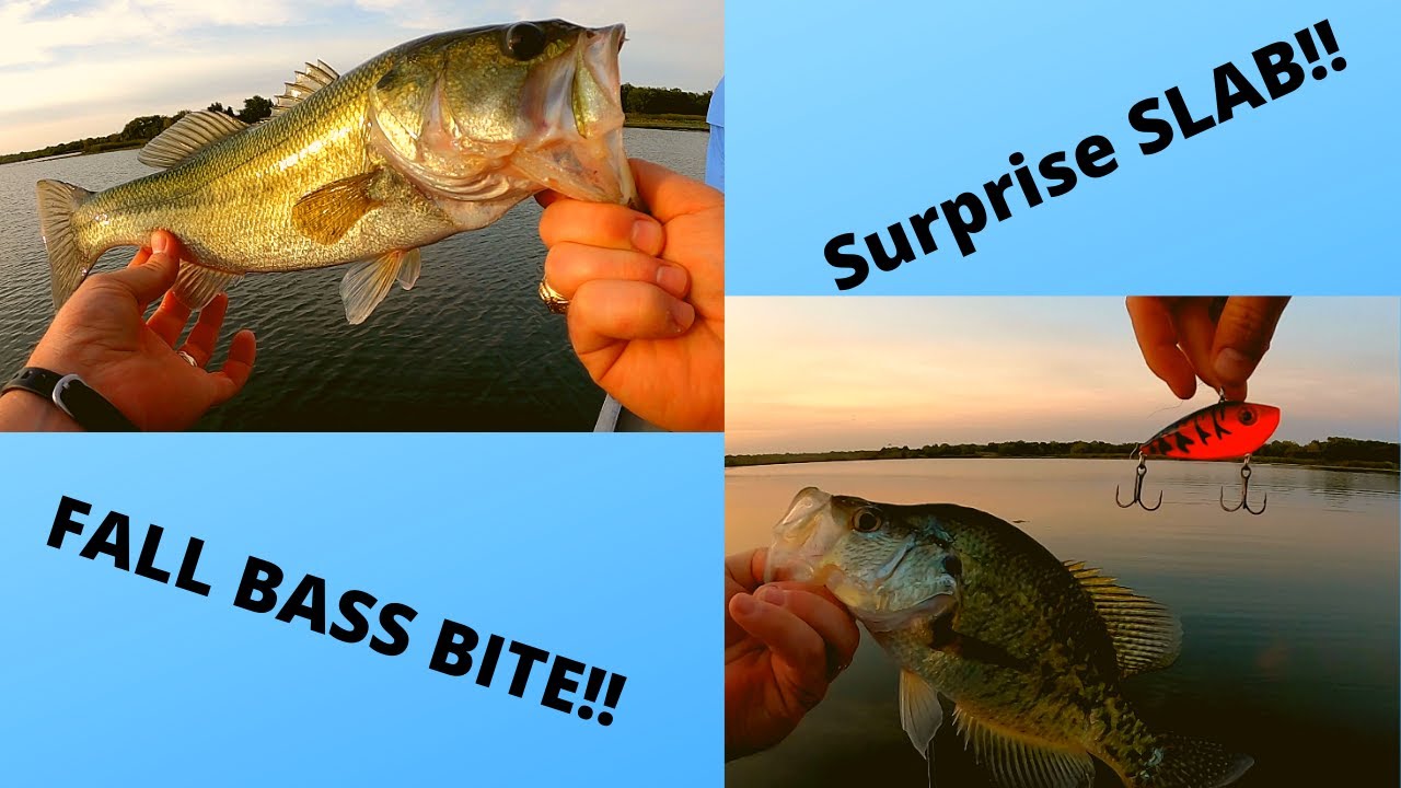 FALL BASS Bite was ON!! YouTube