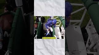 Este caballo ganó la carrera sin un jinete! #viralshort #fyp