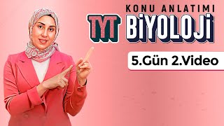 Enzimler -Iii - 5.Gün - 2.Video 32 Günde Tyt Biyoloji Kampı Kuvvetli Biyoloji