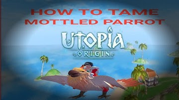 Utopia: Origin how tame mottled parrot