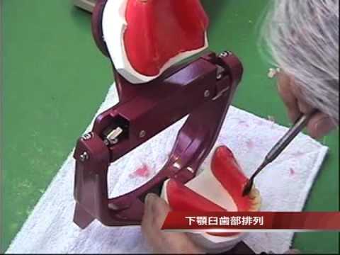 永末書店 歯内療法カラーアトラス