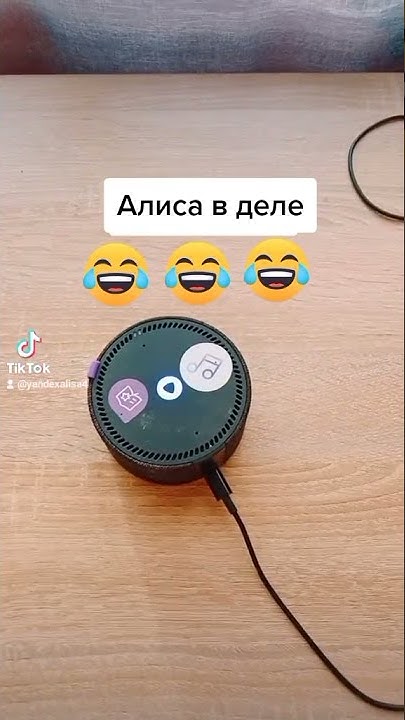 Умная камера появилась в приложении Яндекс с Алисой - YouTube