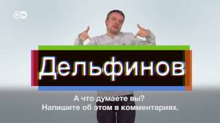 8 марта: Насилие над женщинами - проблема в России 8 марта: Насилие над женщинами - проблема в России