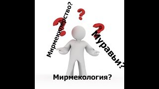 Что такое муравьи, мирмекология и мирмекиперство?