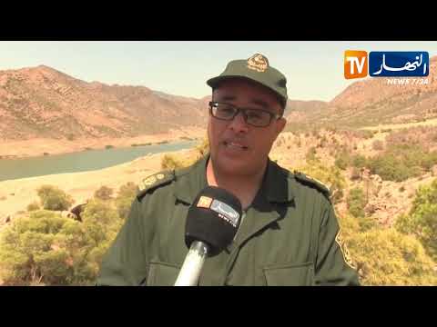 المسيلة السد الأخضر من جدار ضد التصحر إلى رافد للإقتصاد الأخضر