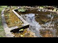 Fish Pond Build - Start to Finish - With Wetland Bio Filter