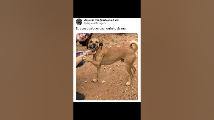 SEJA GENTIL COM OS ANIMAIS