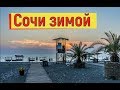 🔴🔴 Отдых в Сочи зимой. Море в Сочи зимой.Туристы на пляже загорают. Котики.Рыбаки на море.Сочи.