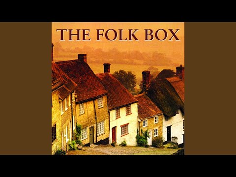 Finnegan's Wake (Live)
