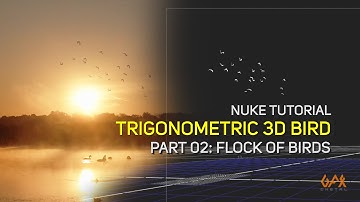 Nuke Tutorial | Trigonometric 3D Bird | Part 02: Flock of Birds