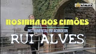 Rosinha dos Limões - Instrumental - Rui Alves #live #acordeon