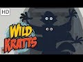 Wild kratts  spooky creature roundup  halloween howls and growls