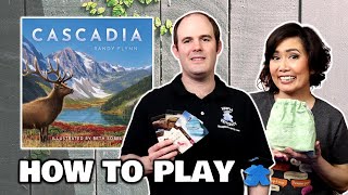 Cascadia - How to Play Board Game screenshot 5