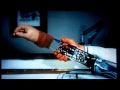 Bionics and Cybernetics