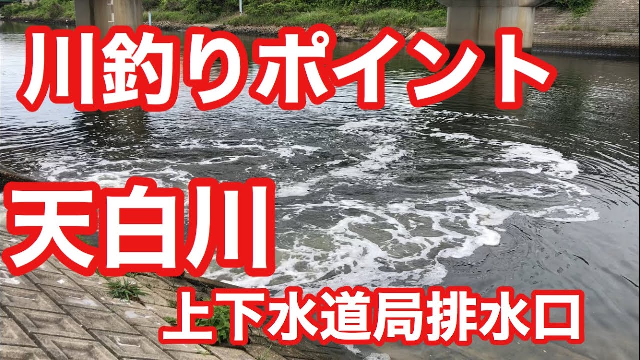 天白川 上下水道局排水口 川釣りポイント Youtube