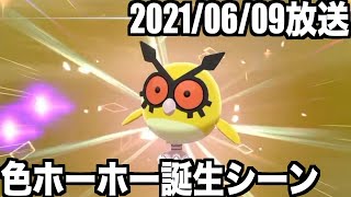 【ポケモン剣盾】SM時代の思い出語ってたら剣盾が嫉妬して色違いくれた神回【生放送切り抜き】 【ポケモン剣盾】SM時代の思い出語ってたら剣盾が嫉妬して色違いくれた神回【生放送切り抜き】