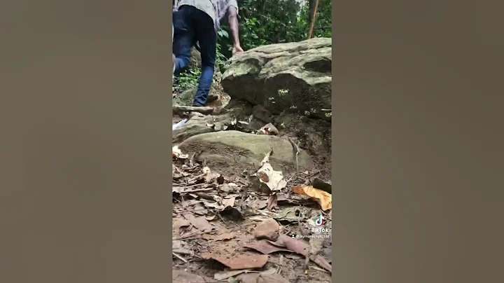 Boti Falls Hiking Experience