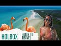 Ultimate holbox mxico travel guide