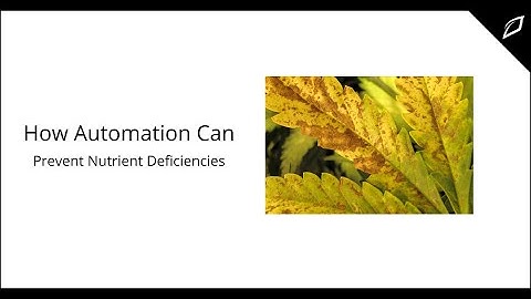 How Automation Can Prevent Nutrient Deficiencies