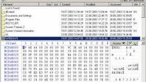 WINHEX digital forensics for  Scrambled bits