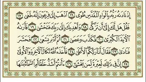 فيديو للشيخ الفاضل على حسن سليمان حفظه الله تلاوه سورة النازعات علي وجه الوصل