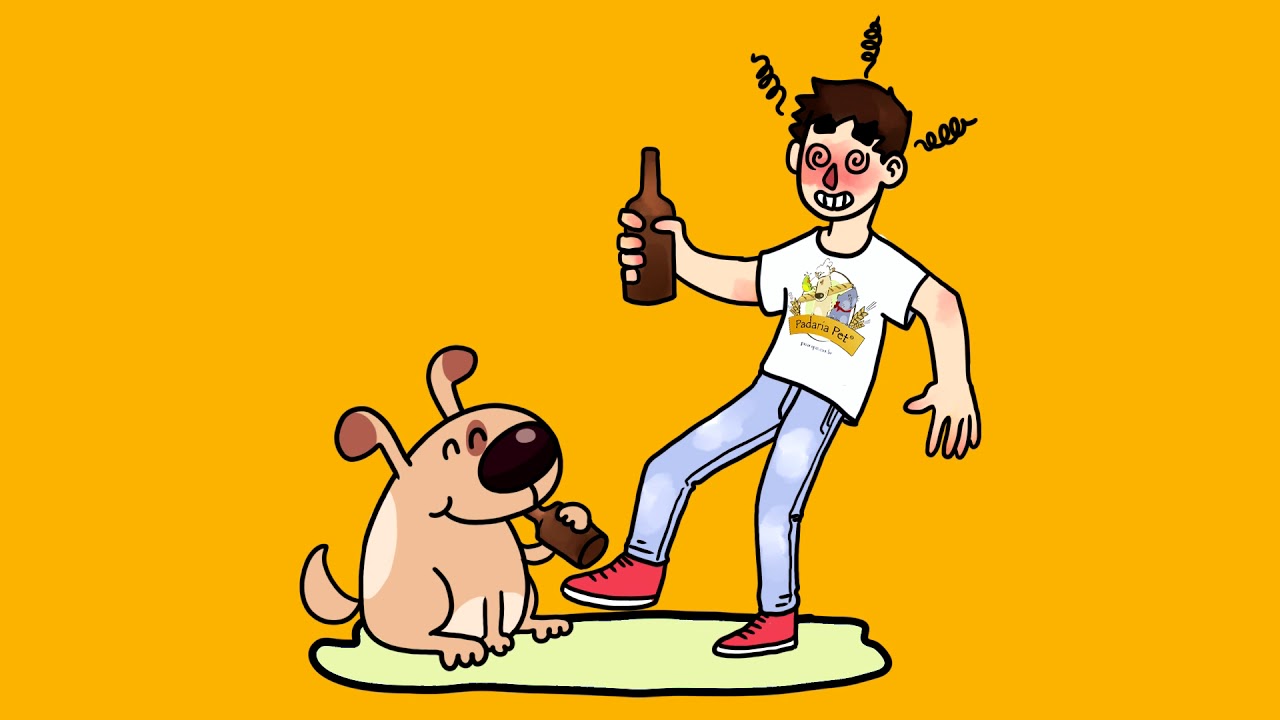 gatos feos Cerveja Padaria Pet
