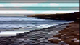 IMG 2455