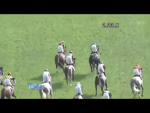 2012年 第79回 日本ダービー (G1)(ディープブリランテ、岩田康誠)