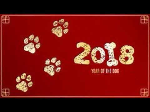 Video: How To Celebrate The Year Of The Yellow Dog