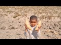 Sweet Big Potatoes Harvest At Johnson Farm In Kapiri Mposhi Zambia Sweet Big Potatoes Harvest At Johnson Farm In Kapiri Mposhi Zambia