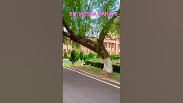 BIT MESRA RANCHI #ranchi #highlights #reels #shorts #bitmasteryt #college #instagram