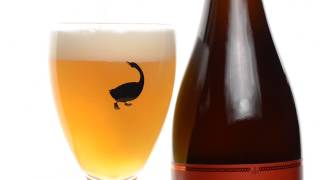 Goose Island - Sour Sisters