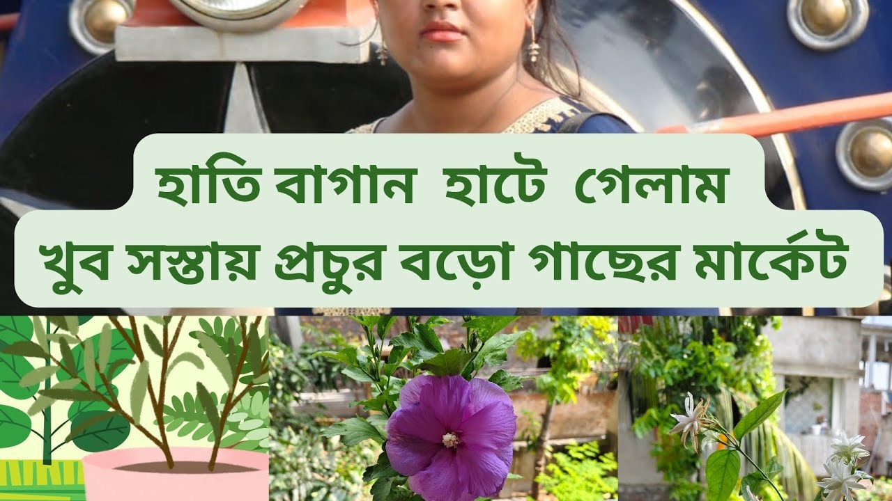 Sunday Gallif street plant market এ গেলাম