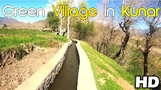 Kana Seer The Green and Beautiful Village of Kunar Loy Afghanistan | Village life in Kunar HD | کنړ