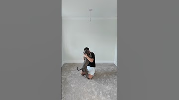 How to install a carpet like a pro #diy #how #carpets #construction #howto #stepbystep #renovation