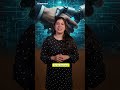 More Than One Role: Automation Careers Explained