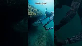 Huge Grouper Startles A Diver On The Reef