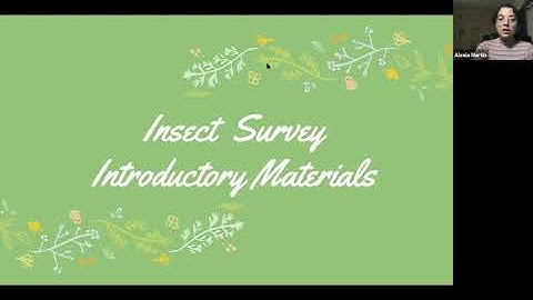 Insect Project - Part 1 - Overview