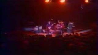 Dogs - Here Comes My Baby & Little Girl