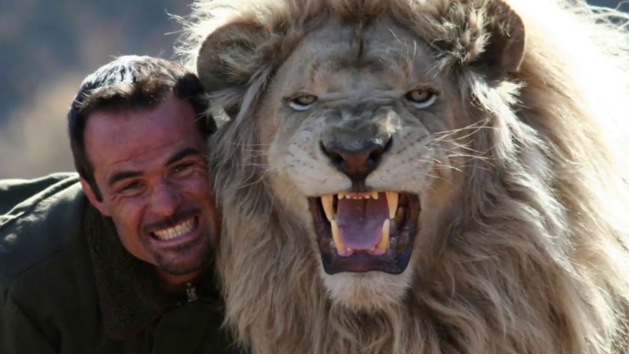 Люди животные названия. Кевин Ричардсон зоолог. Кевин Ричардсон и львы. Человек со львами Кевин Ричардсон. Кевин Ричардсон 1993.