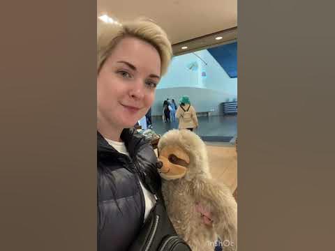 Америка .Культура потребления #америка #гринкарта #сша #greencard # ...