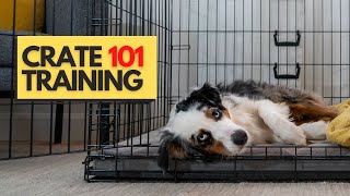 Why I Am Crate Training My Dog ... Again | Crate Training Tips