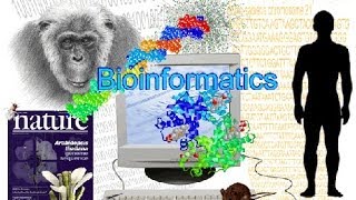 Bioinformatics part 1 What is Bioinformatics screenshot 2