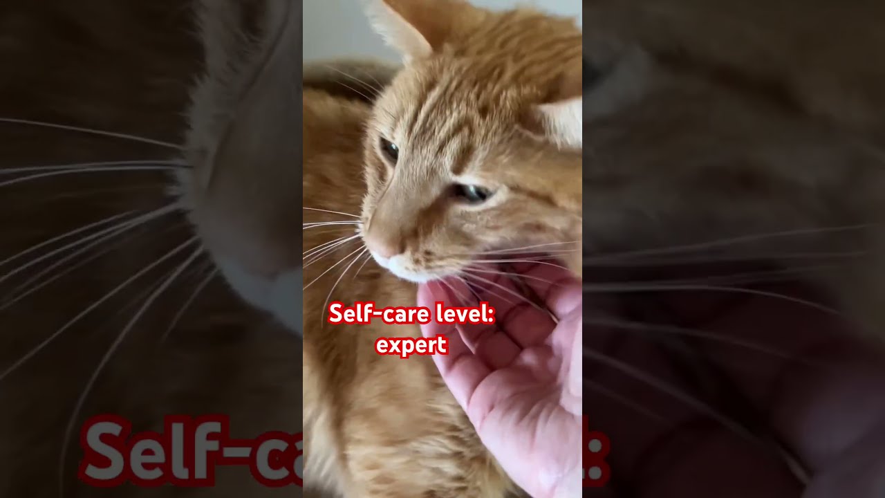 Self Care Level Expert DreamTrackAI