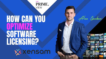 How Can You Optimize Software Licensing?