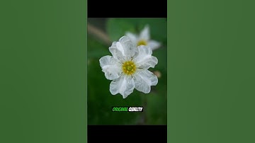 photoshoot on camera FV5