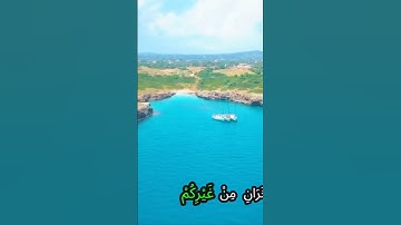 القرآن الكريم وكانك تسمعه لأول مرة ☝️💗💓💖❤️بصوت الشيخ حمزة مدبوح 🌷💙💙💓💘